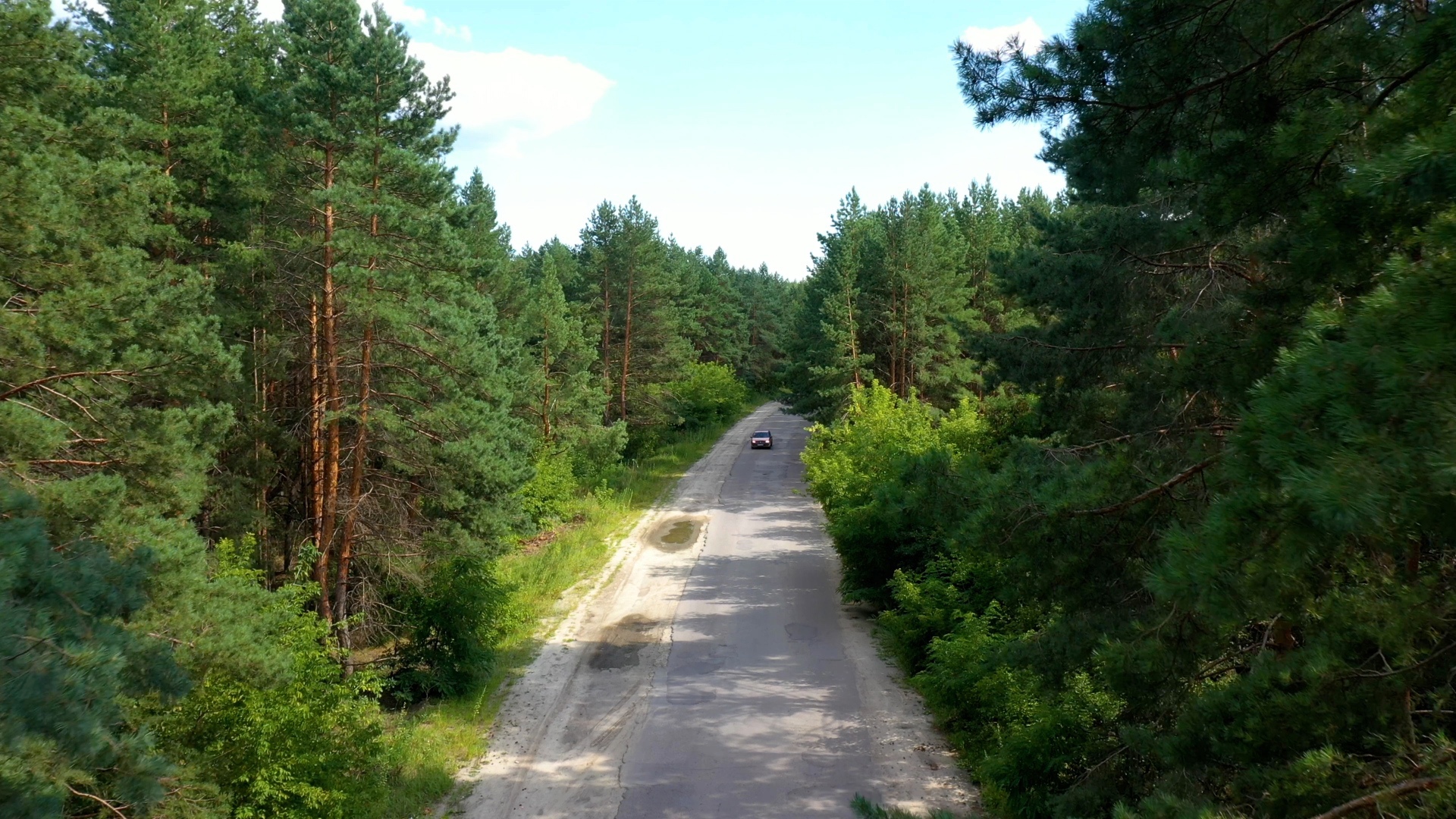 Вести вокруг Спутника: дачники Барковки просят у мэрии новую дорогу