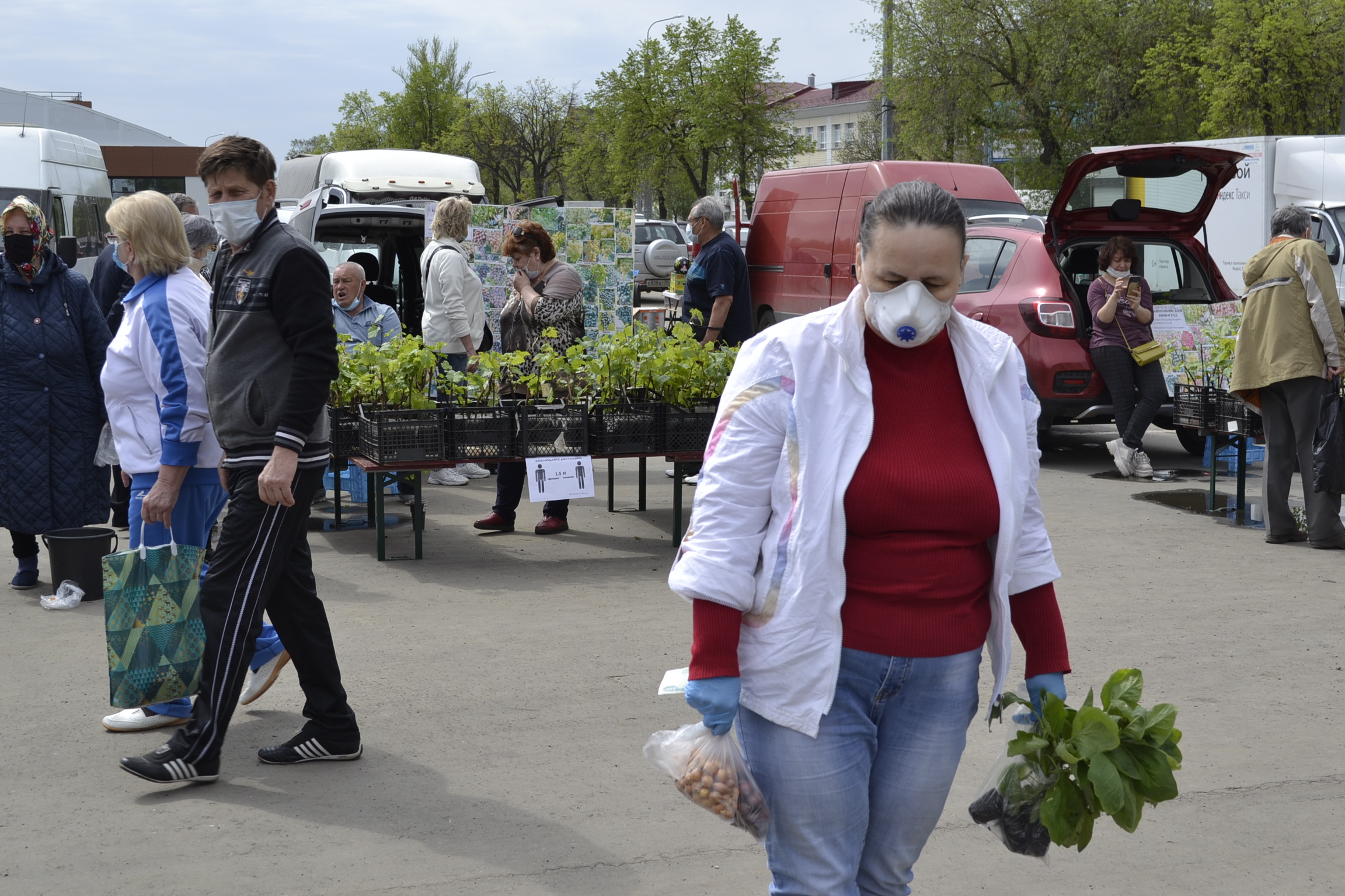 В Пензенской области коронавирус нашли у жителей 4 районов и 2 городов