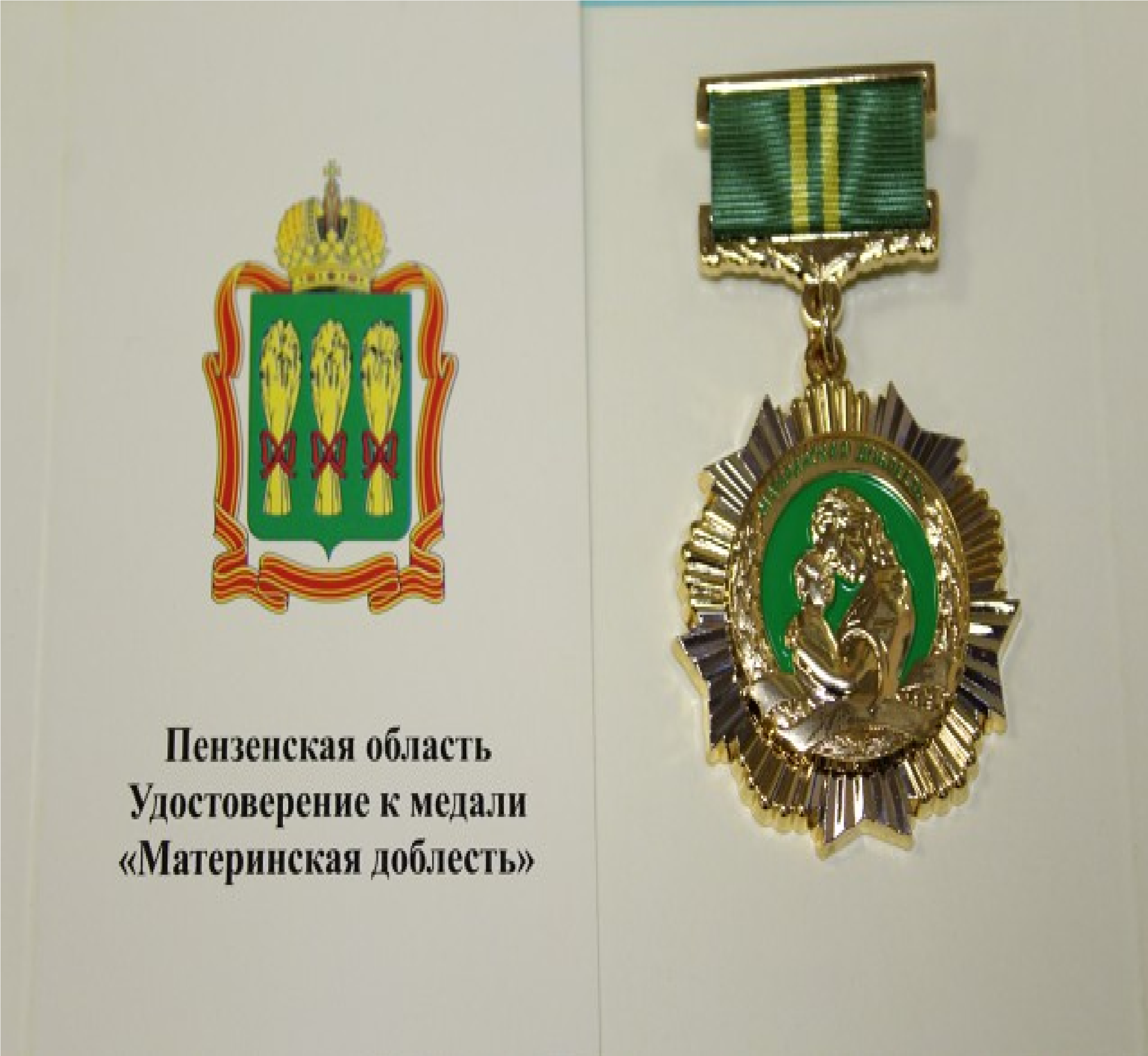 Пензенцам напомнили, что положено женщинам, награжденным медалью «Материнская доблесть»