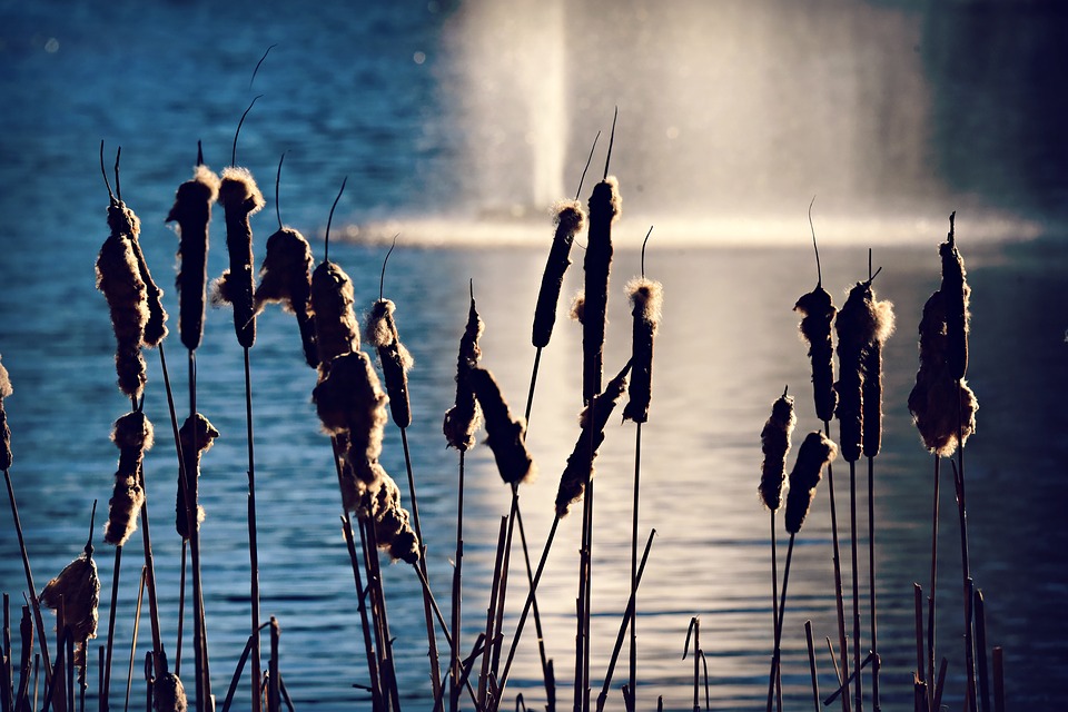 Больше всего гибнут люди на водоемах Пензы и Кузнецкого района