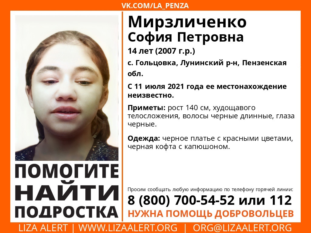 Пензенцев просят помочь в поиске девочки из Лунинского района