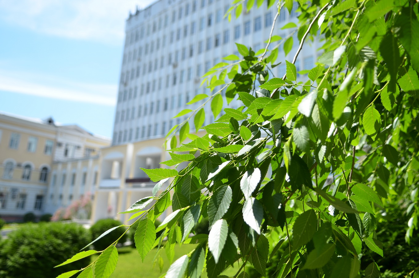 Конкурсные списки поступающих в ПГУ будут опубликованы в ближайший понедельник