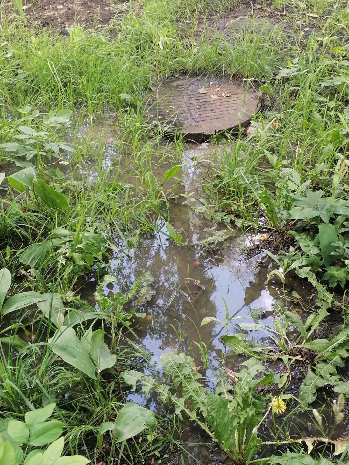 «Это издевательство!» Жители Терновки возмущены действиями водоканала