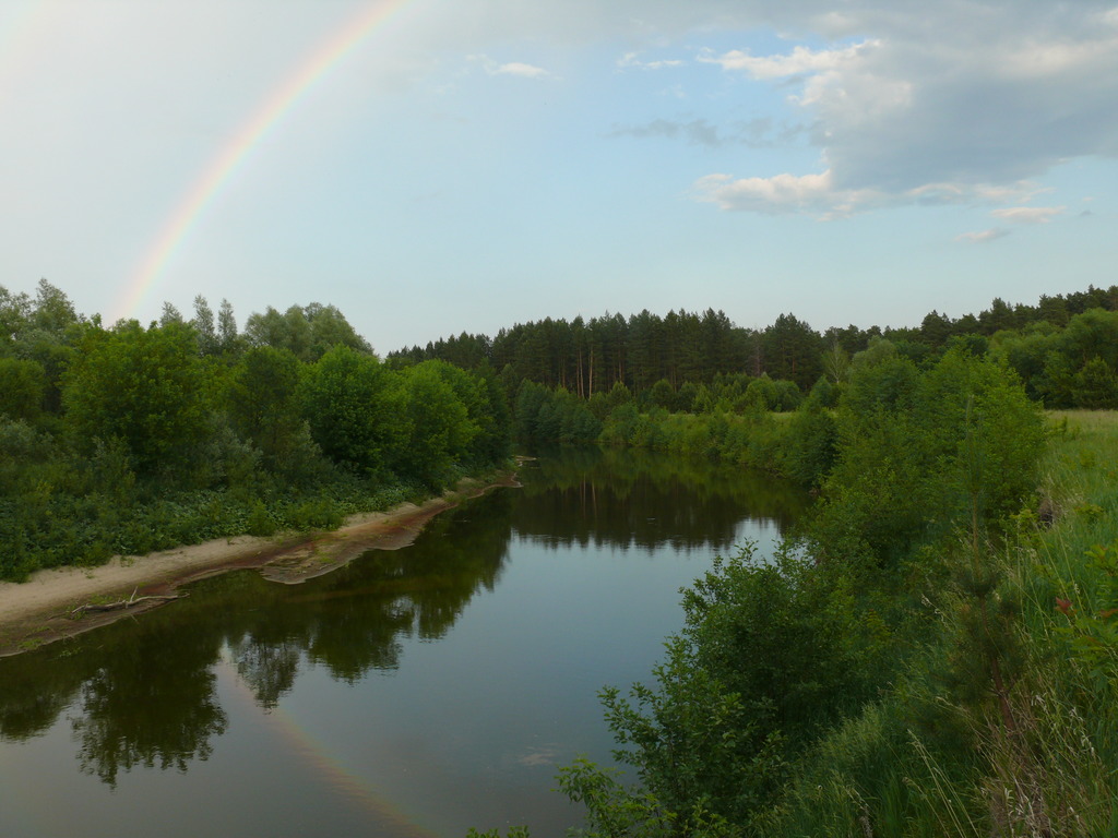 Вода в Сурском водохранилище оказалась «очень загрязненной»