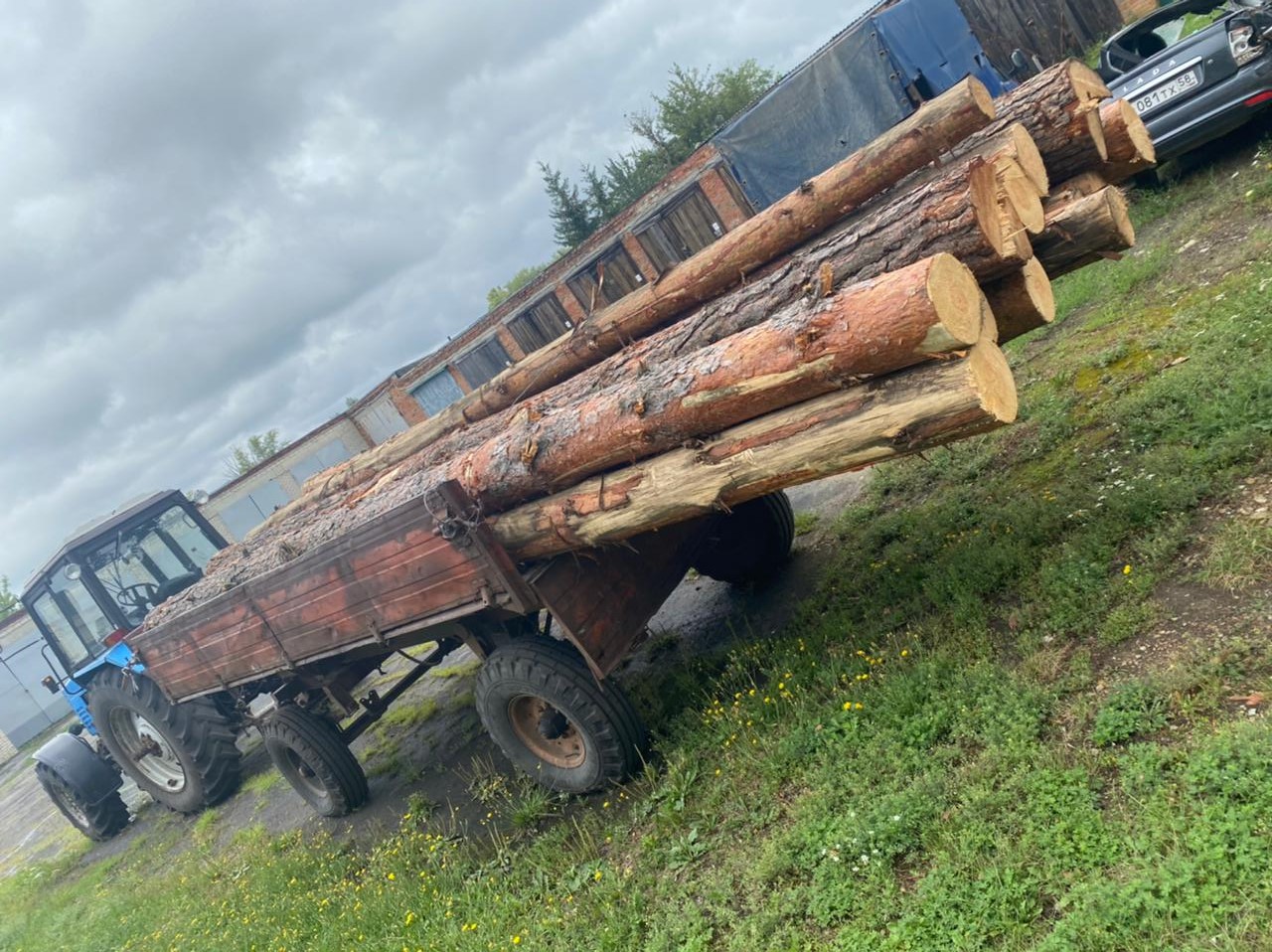 За спиленные у своего дома деревья житель Кузнецкого района пойдет под суд