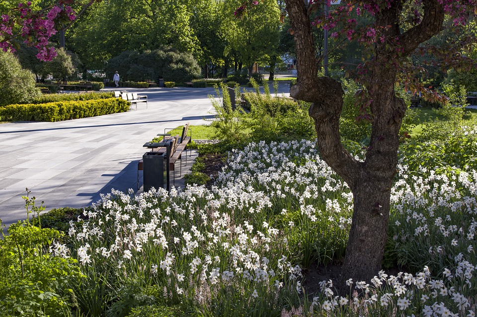 Благодаря одному из жителей в Кузнецке может появиться новый сквер