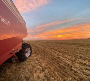 Олег Мельниченко поблагодарил Дмитрия Патрушева за поддержку регионального АПК