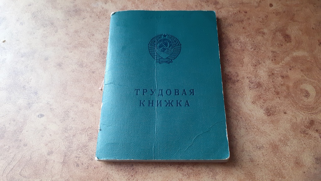 В Пензенской области руководитель пытался заработать на выдаче фиктивных документов