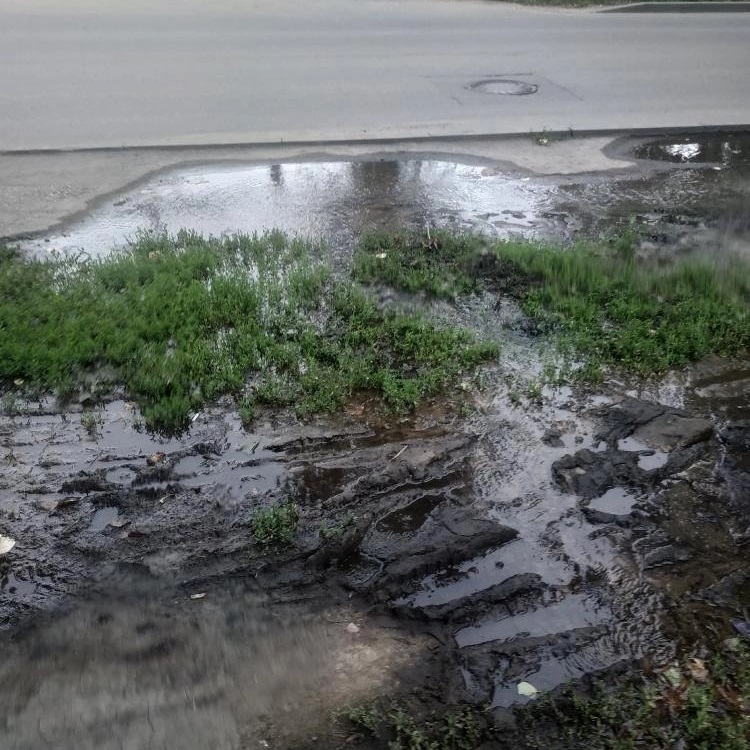 Пензенцы пожаловались на фонтан, забивший из-под земли на улице Пушанина