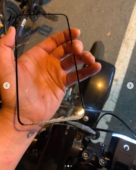 В Пензе предложили запретить выгуливать собак на Олимпийской аллее