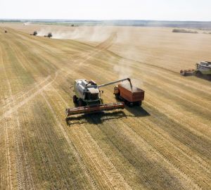 Сельхозпредприятия Пензенской области собрали почти 2 миллиона тонн зерна