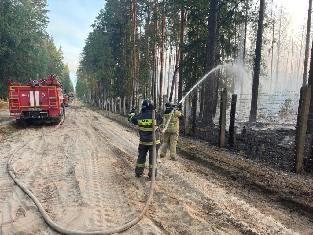Пензенские спасатели продолжают тушить страшный лесной пожар в Мордовии