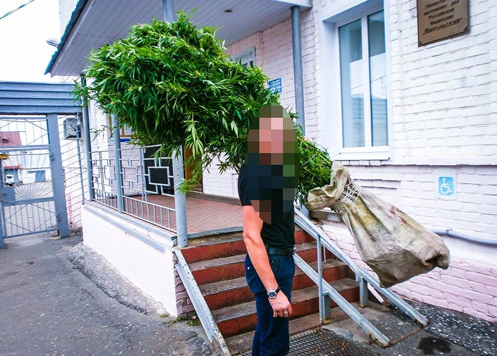 Житель Кузнецка вырастил у себя на огороде наркосодержащие растения