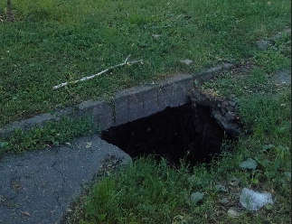 В Кузнецке рядом с ЗАГСом образовалось стихийное кладбище животных