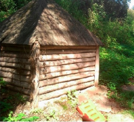 В Сердобском районе после жалобы местных жителей обустроят родник