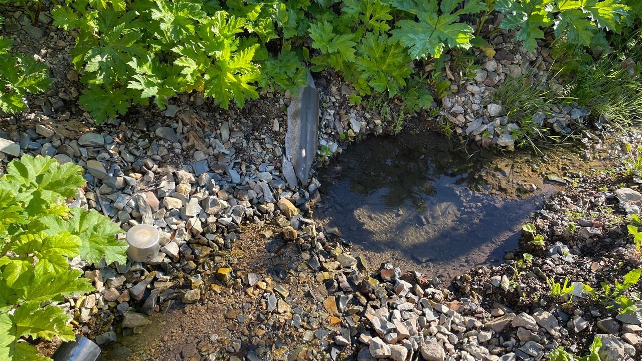 В Пензенской области иссякают родники