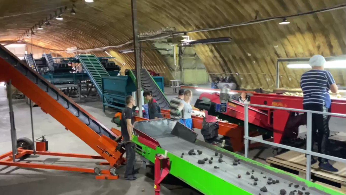 Агрофирма "Раздолье" обновила производственную линию по обработке картофеля