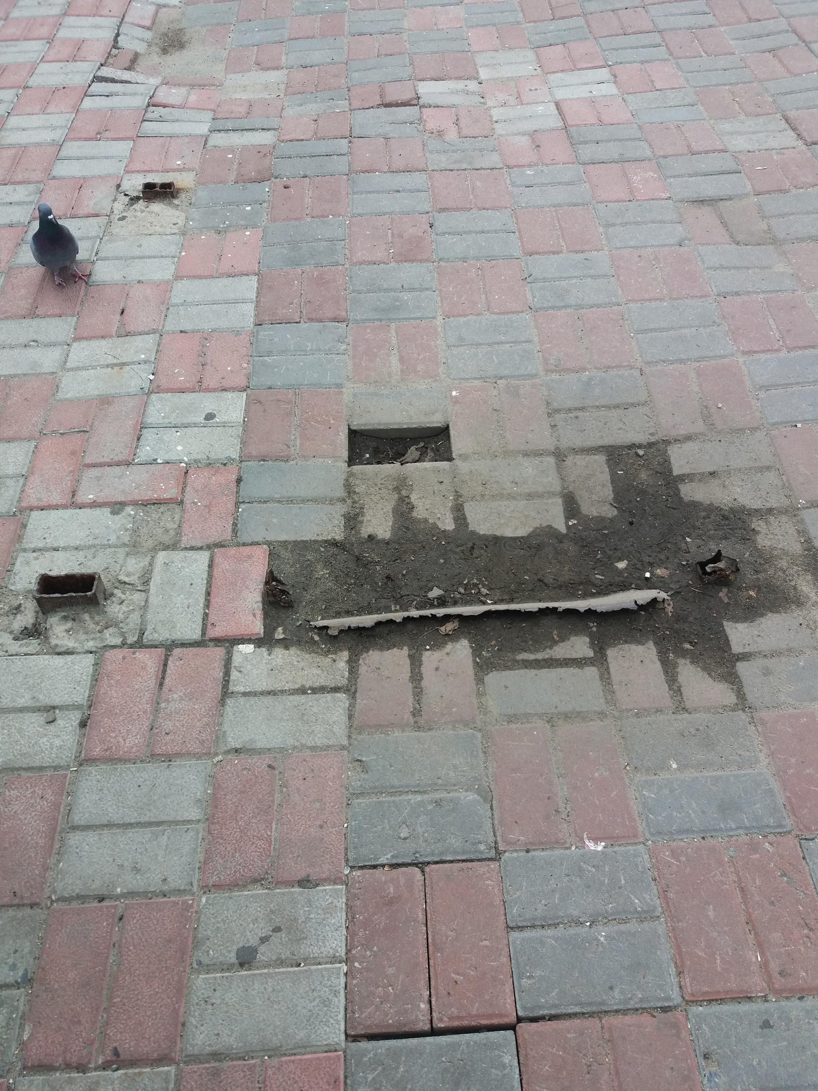 В Пензе горожане рискуют получить травму на автобусной остановке