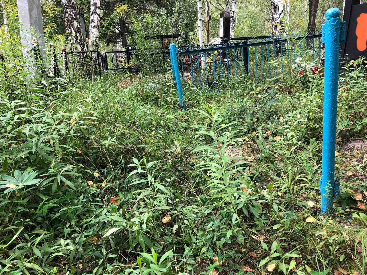 В Пензенской области отмечены новые случаи воровства с кладбищ