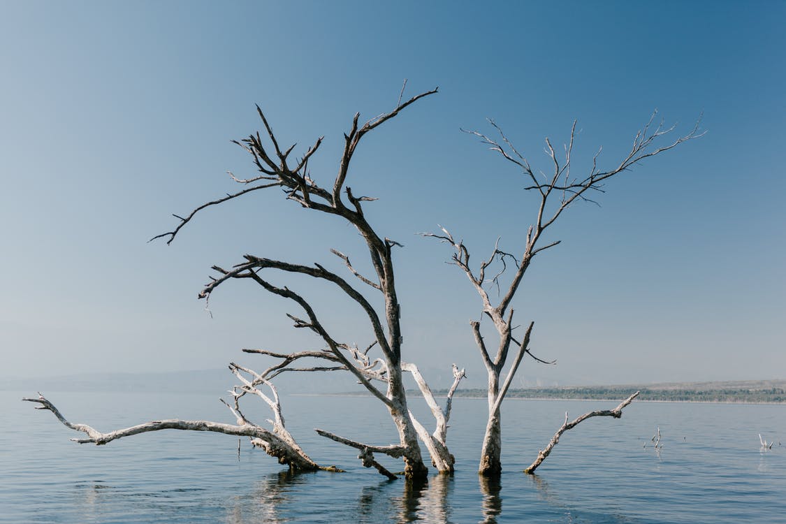 Мельниченко считает, что для профилактики гибели людей на воде нужно больше рейдов