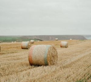 Олег Мельниченко: «Без наведения порядка в системе земельных отношений мы никуда дальше не пойдем»