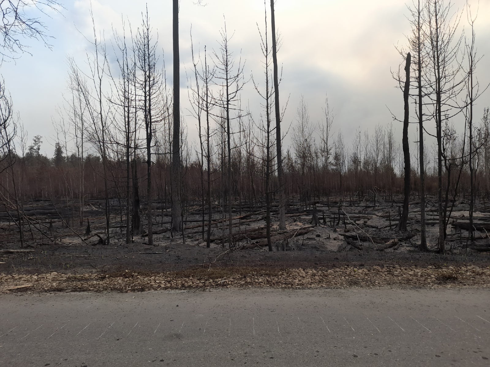 Пожар в Мордовии едва не убил 55 человек, едкий дым дошел до Пензы