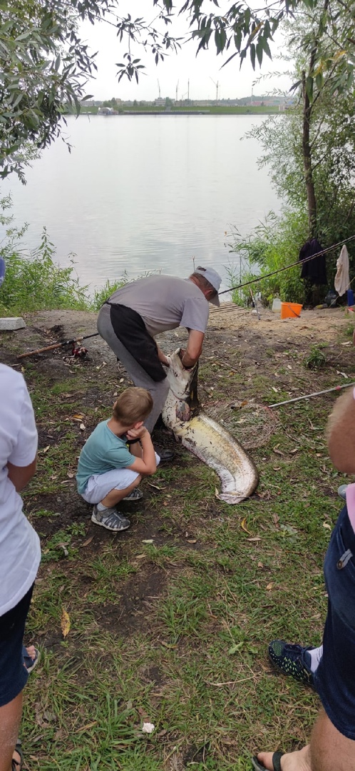 Пензенец поймал в Суре 20-килограмового монстра