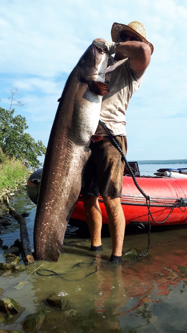 В Пензе рыбаки поймали подводного монстра