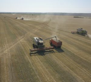 Сельхозпредприятия Пензенской области собрали 2,1 миллионов тонн зерна