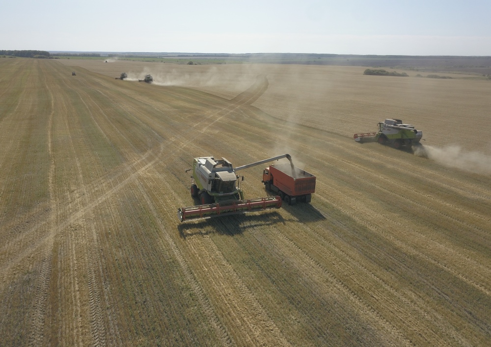 Сельхозпредприятия Пензенской области собрали 2,1 миллионов тонн зерна