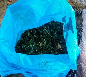 У жителя Пензы в гараже нашли коробку с наркотиком