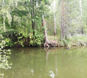 В Пензенской области на дне карьера нашли затопленную машину