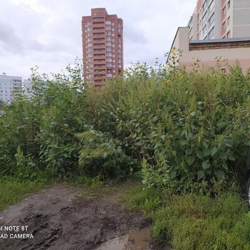 В Пензе двор на Ладожской улице превратился в болото из-за коммунальной аварии