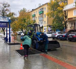В центре Пензы начали сажать липы