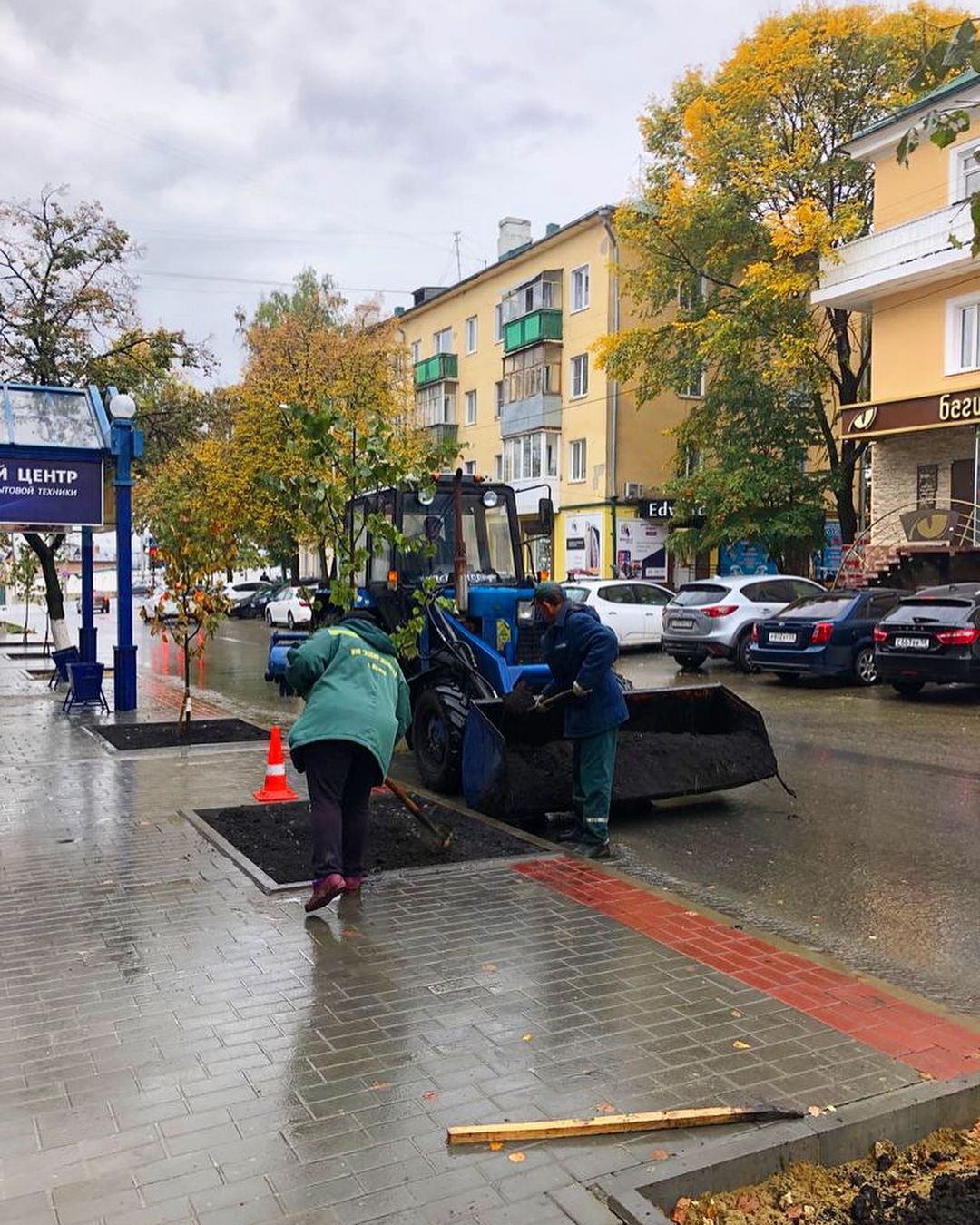 В центре Пензы начали сажать липы