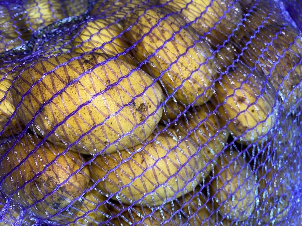 Битва за урожай: пензенские картофелеводы подвели первые итоги 2021 года