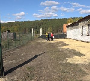 В Кузнецке на ремонт здания приюта для животных потратили около 450 000 рублей