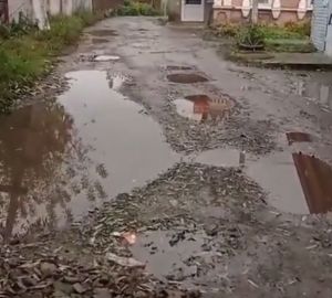 Жители Бессоновского района просят сделать для пенсионеров дорогу