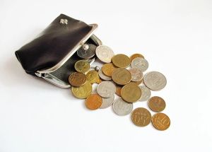 В Госдуму внесли законопроект об увеличении МРОТ