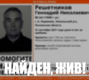 В Пензенской области нашли пропавшего 80-летнего грибника