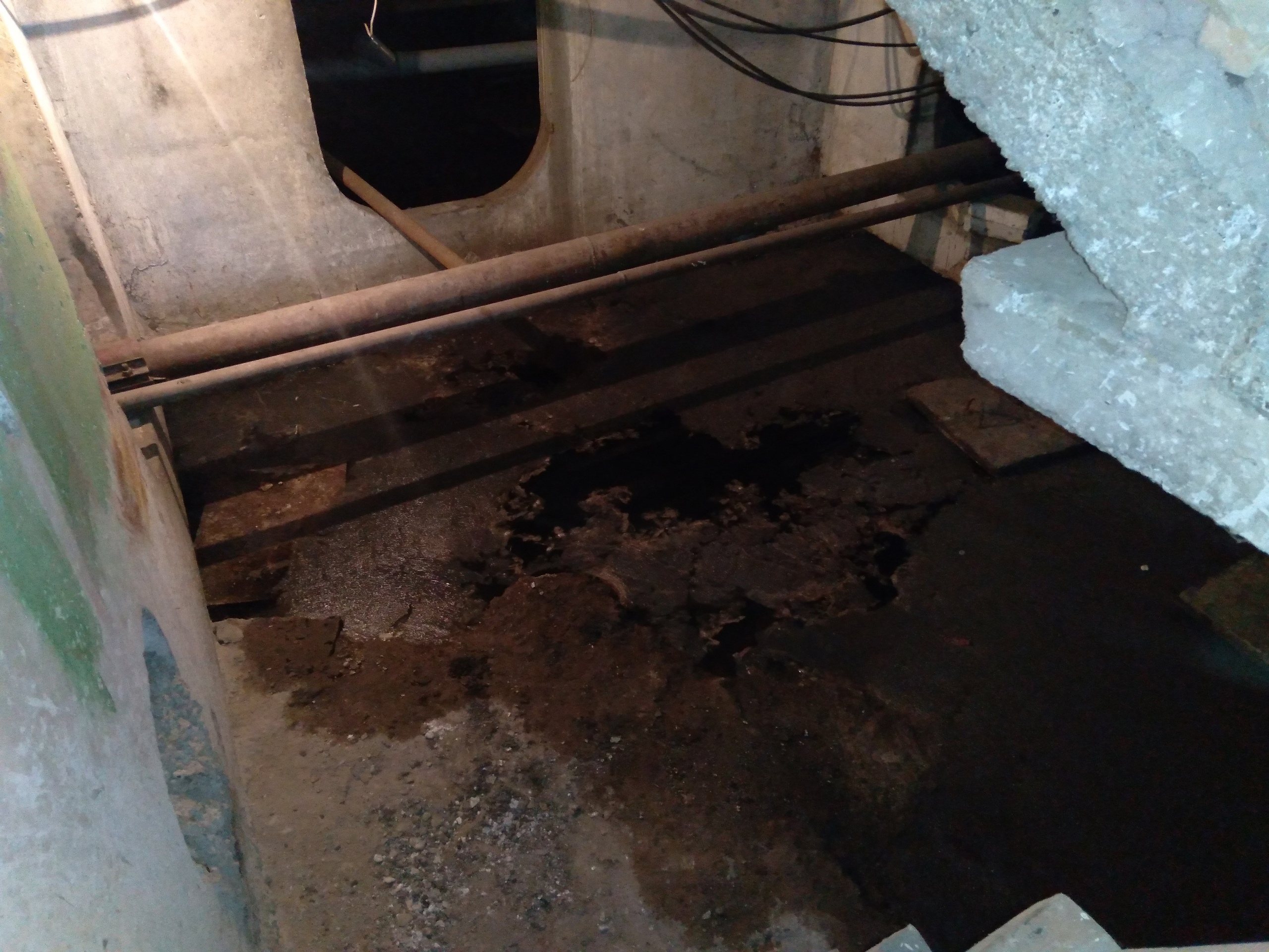 Жители Пензы рассказали о том, как 2 года задыхаются от нечистот