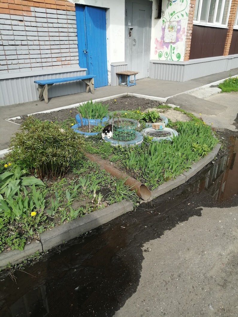 В Пензе управляйки начнут наказывать за дворы, украшенные покрышками