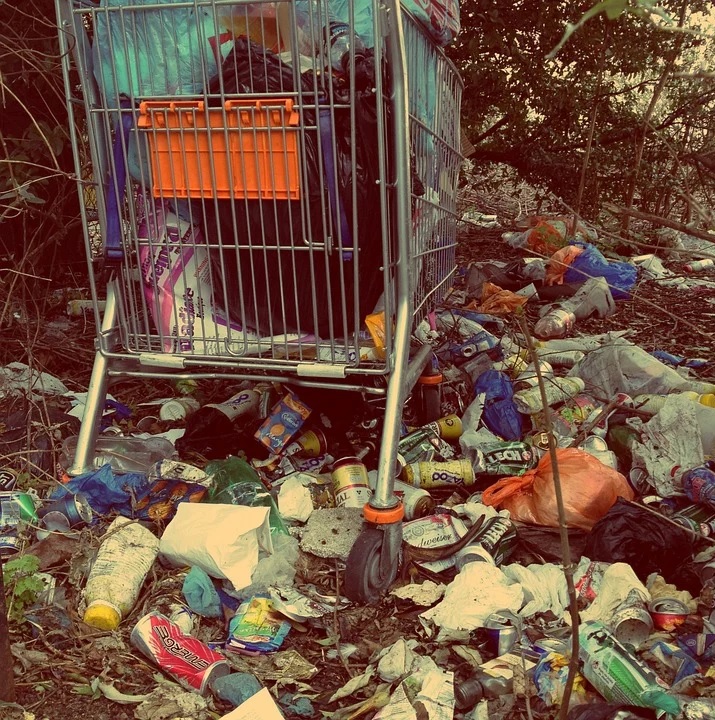 В Пензе после жалобы устранили несанкционированную свалку