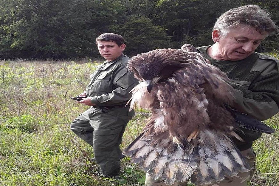 В Пензенской области трое детей прошли 9 км, чтобы попасть к бабушке