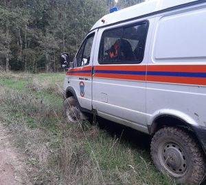 В лесах Пензенской области стали пропадать грибники