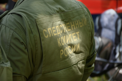 Дети из Городищенского района убежали из дома к бабушке, потому что боялись гнева матери