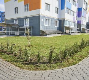 Озеленение Города Спутника продолжается