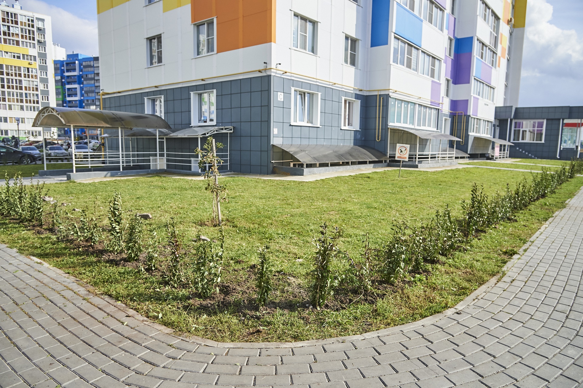 Озеленение Города Спутника продолжается