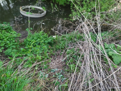 Пензенцам обещано вознаграждение за помощь в расследовании смерти новорожденной девочки