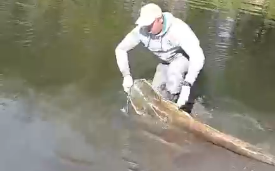 Поймал – отпустил. Поступок пензенского рыбака вызвал восхищение «коллег»